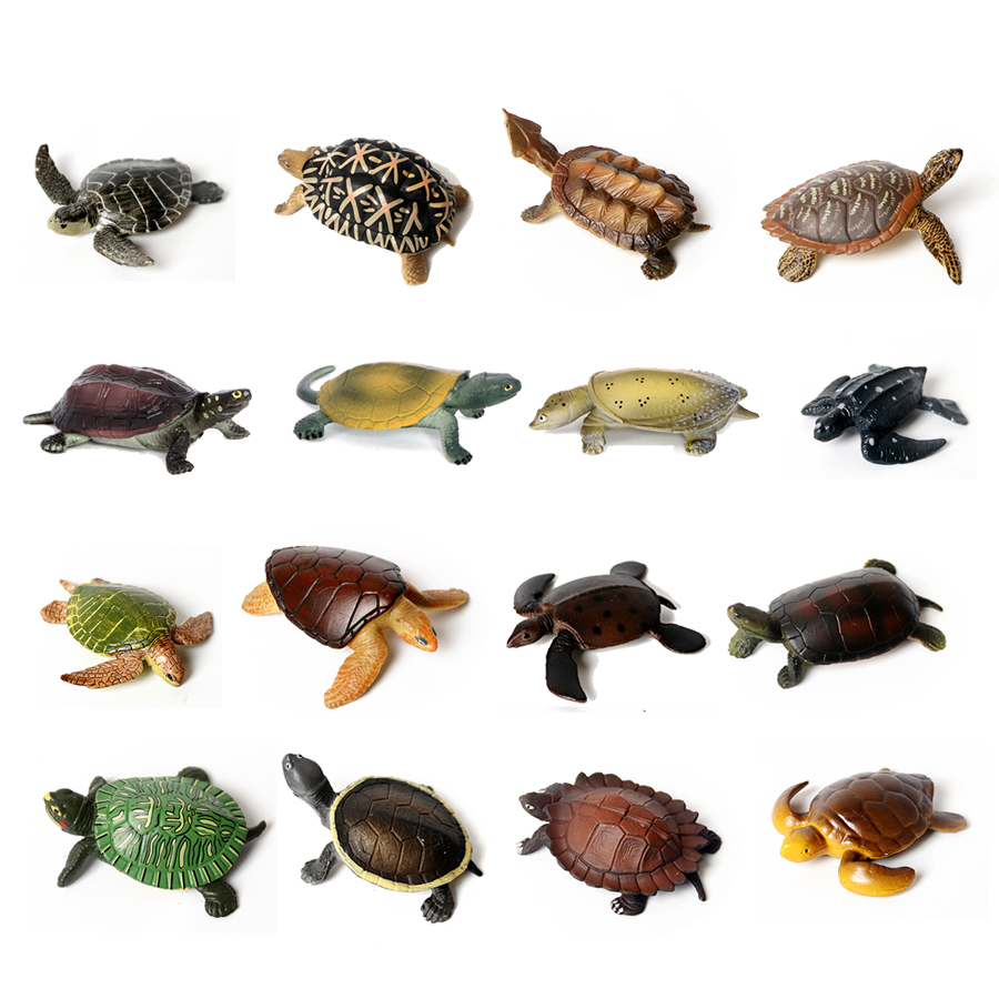 Aquarium Marine Tank - Thực Tế Bức Tiểu Họa Sinh