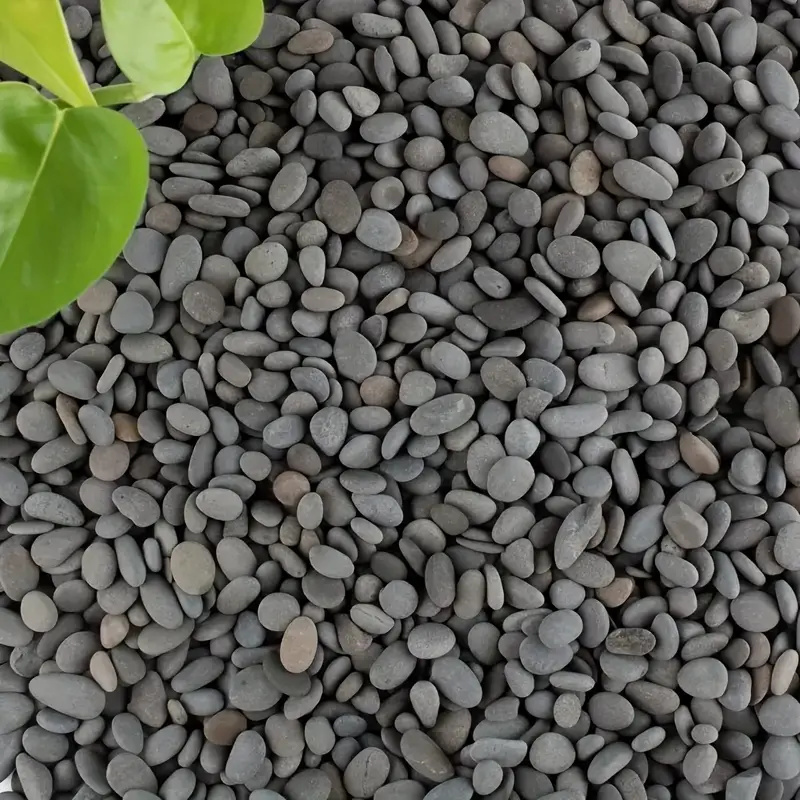 20Pcs Natural River Rocks Smoo - đánh giá và giá Aquarium Marine Tank