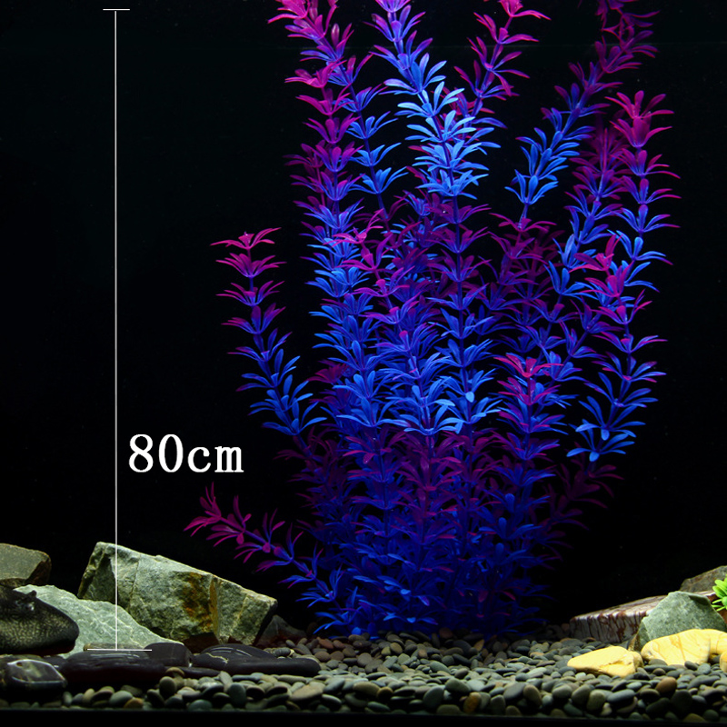 100Cm Thực Vật Nhiệt Đới Lớn N - đánh giá và giá Aquarium Marine Tank