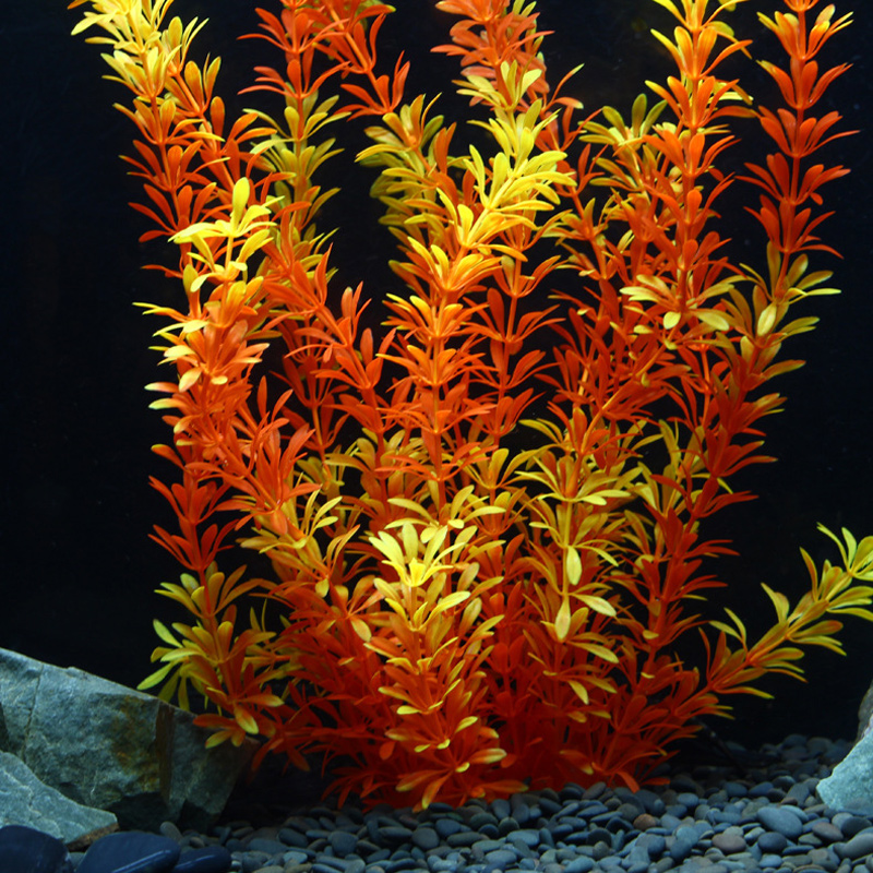 100Cm Thực Vật Nhiệt Đới Lớn N - đánh giá và giá Aquarium Marine Tank