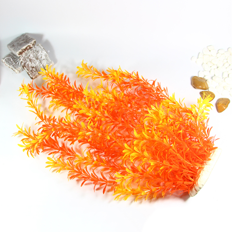 100Cm Thực Vật Nhiệt Đới Lớn N - đánh giá và giá Aquarium Marine Tank