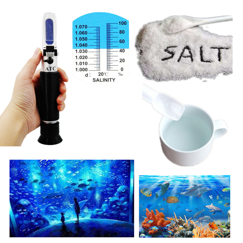 Độ MặN Khúc Xạ 0-10% 1.000-1.0 - đánh giá và giá Marine Aquarium Refractometer