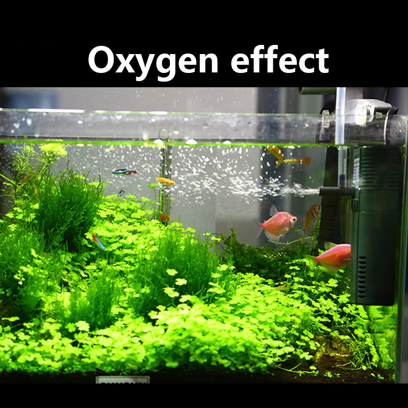 SUNSUN Nano Mini Xây Dựng Nội  - đánh giá và giá Marine Aquarium Heater